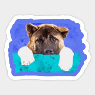 American Akita Sticker